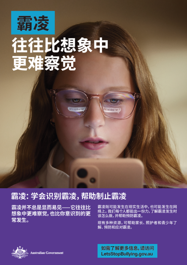Information poster - Mandarin thumbnail