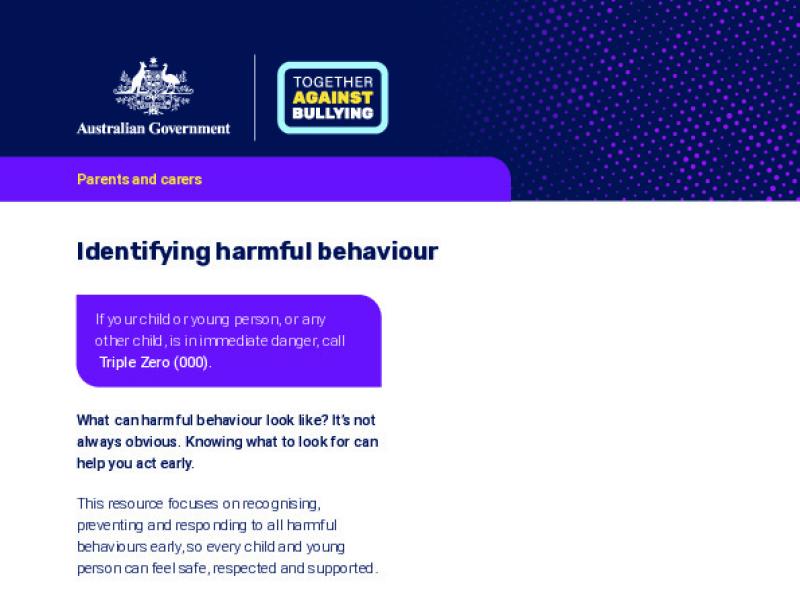Identifying harmful behaviour.pdf