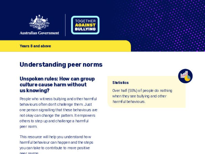 Understanding peer norms.pdf