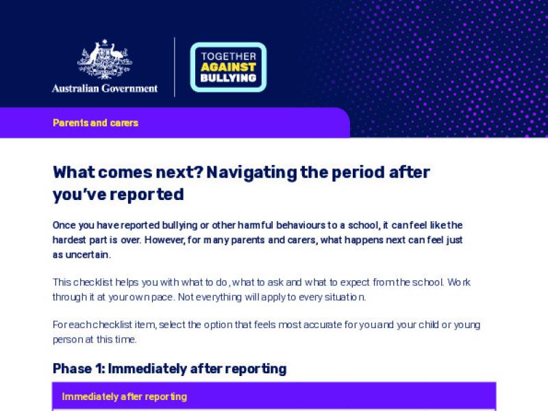 What comes next - Navigating the period after you have reported.pdf